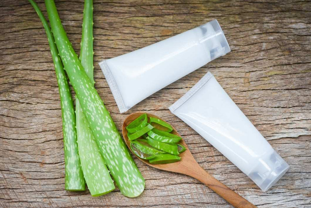 Rich in Vitamins, These 5 Benefits of Aloe Vera for Pregnant Women