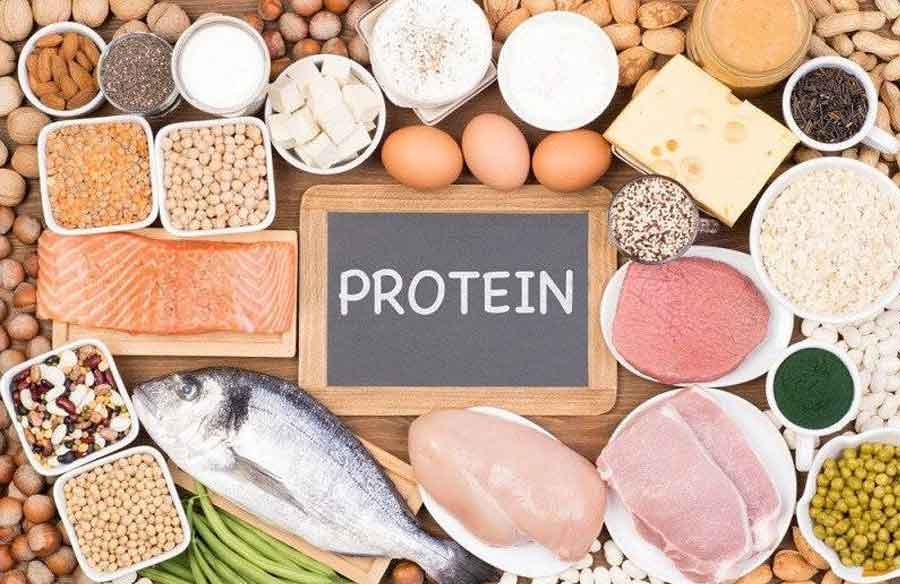 How Much Protein Intake Per Day?