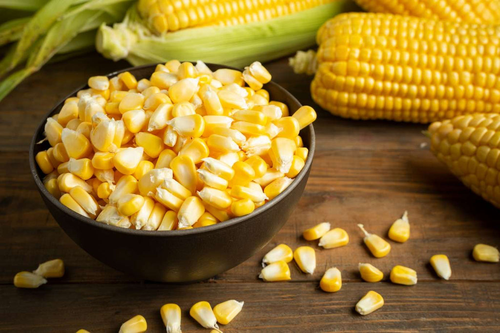 9 Benefits of Corn on the Cob, One of Which Is Maintaining Heart Health!